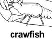 crawfish 上色