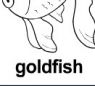 goldfish 上色