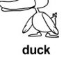 duck 上色