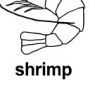 shrimp 上色