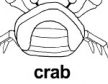 crab 上色