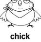 chick 上色