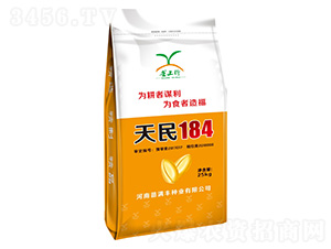 小麦种子25kg-天民184-华青农业
