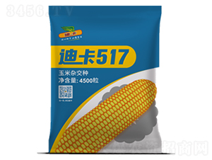 迪卡517-玉米种子
