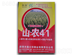 山农41-小麦种子-陕垦大华