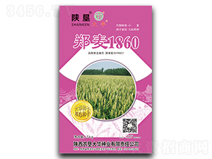 郑麦1860-小麦种子-陕垦大华