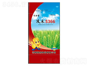 浚禾5366-小麦种子-驰鼎种业