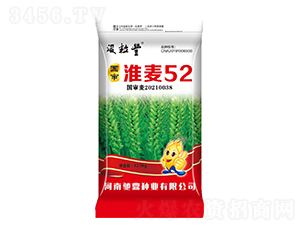 国审淮麦52（12.5kg）-小麦种子-驰鼎种业