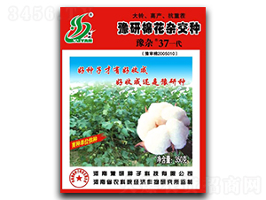 豫杂37-棉花种子-秋乐种业