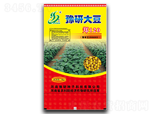 郑120-大豆种子-秋乐种业