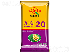 东庆20-大豆种子-庆丰种业