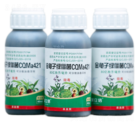 金龟子绿僵菌CQMa421油悬浮剂-聚立信生物