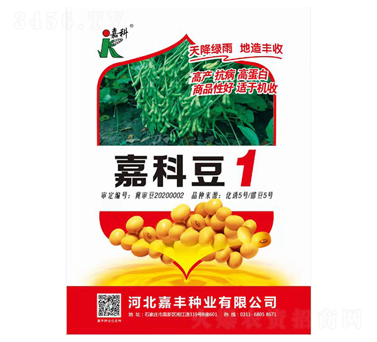 嘉科豆1-大豆种子-嘉科