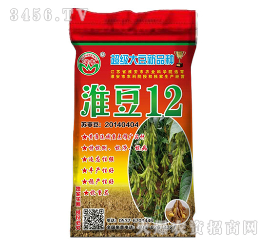 淮豆12-大豆种子-晨禾种业