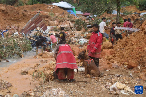 7月10日，救援人员在印度尼西亚哥伦打洛省波尼波朗戈县遭遇山洪和山体滑坡的金矿附近开展搜寻工作。新华社发（印尼哥伦打洛地区警察机构供图）