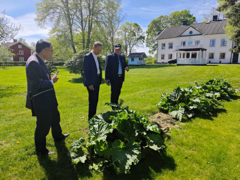 中国驻瑞典大使崔爱民（中）参访哈斯塔生态农业公司。中国驻瑞典大使馆供图