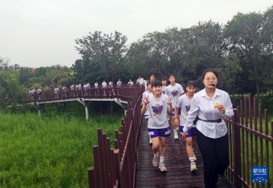 8月9日，台湾两所学校师生行走在衡水湖梅花岛栈道上。新华社记者 任丽颖 摄