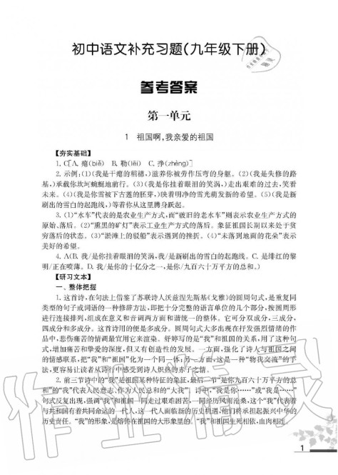 2020年语文补充习题九年级下册人教版江苏凤凰教育出版社 第1页