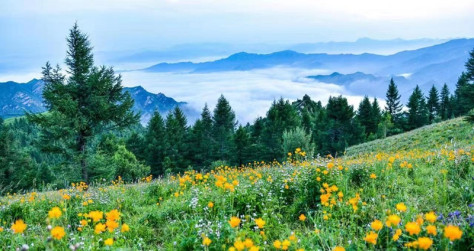 驼梁风景区美景