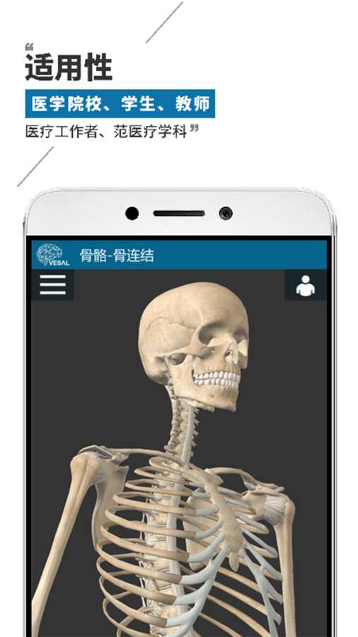 维萨里3D解剖截图4