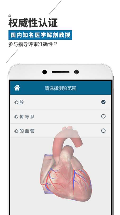 维萨里3D解剖截图3