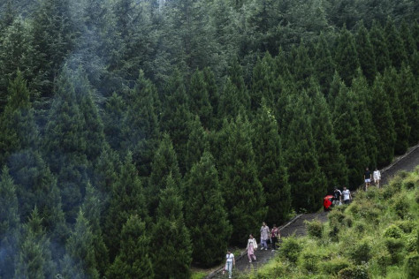 China emite directrices para acelerar transición ecológica de desarrollo económico y social