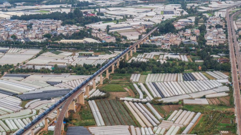 Ferrocarril China-Laos facilita transporte de frutas