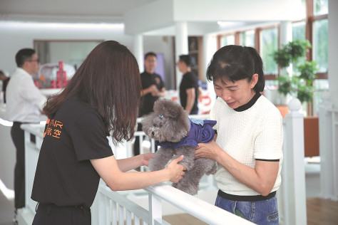 Inauguran la primera sala para mascotas en el aeropuerto de Shenzhen