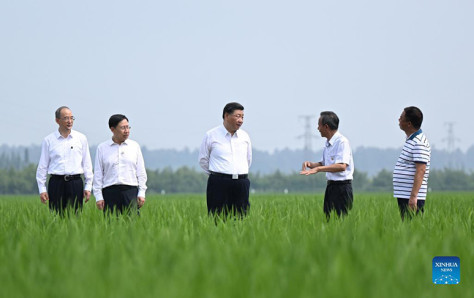 Xi inspecciona ciudad suroccidental china de Meishan