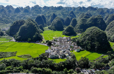 贵州兴义：夏日田园美如画