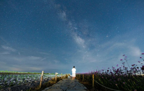 贵州龙里：“清凉山水”带热避暑游