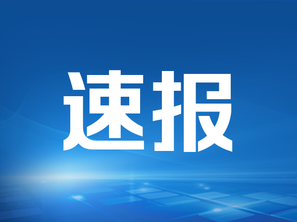 金价狂飙 年轻人这样“淘金”