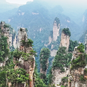 张家界森林公园家庭亲子游，一大家去张家界旅游安排