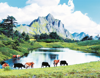 孔雀山：水光潋滟晴方好