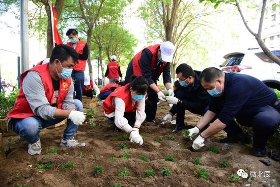 世界地球日，植绿护绿你我同行！