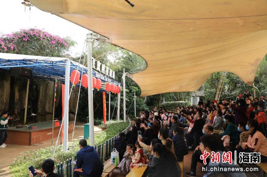 定安春节接待游客6.55万人次 旅游收入3102.55万元