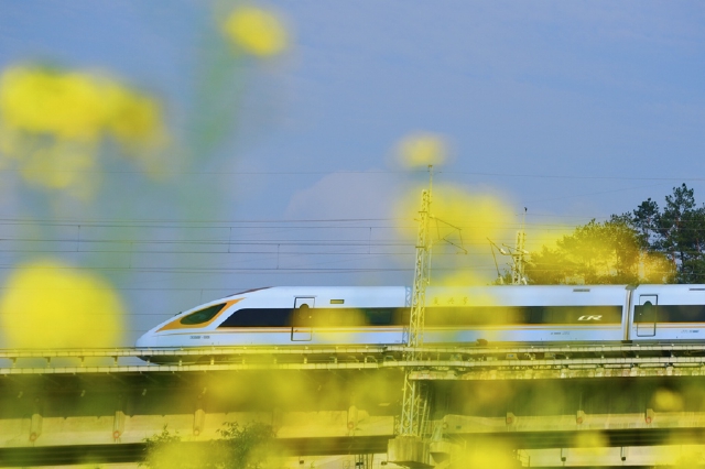 福建永安：列车驶过油菜花海  奔赴春天的约会