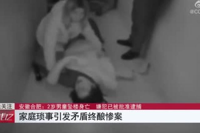 安徽合肥：2岁男童意外坠楼 嫌犯竟是嫌犯生母