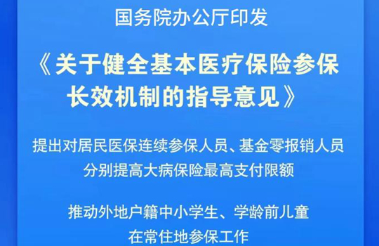 기본의료보험 보험참가 장기효과기제 공포