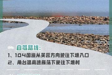 浙江| 十大最美自驾公路带你刷遍绿水青山