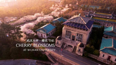 晨曦下的武汉大学，如诗如画，宛如仙境