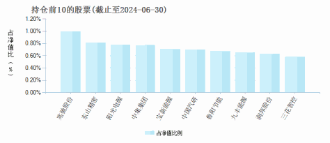 信澳信用债债券C(610108)基金持仓