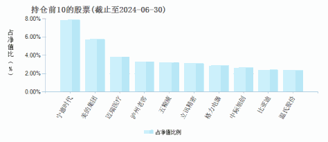 建信深证100指数增强(530018)基金持仓