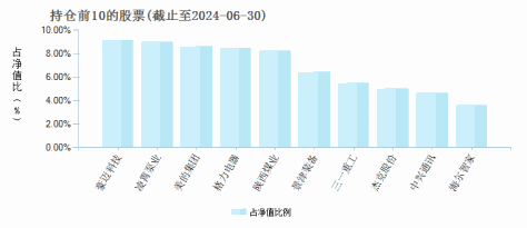 大成睿鑫股票C(009070)基金持仓