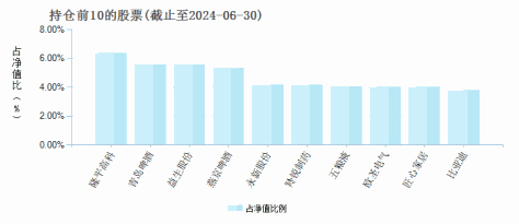 光大消费主题股票A(008234)基金持仓