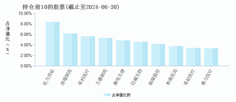 国联医疗健康混合C(006241)基金持仓