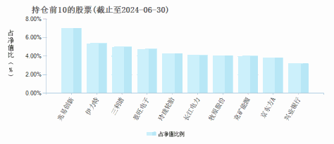 英大策略优选C(001608)基金持仓