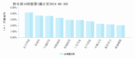 华夏优势增长混合(000021)基金持仓