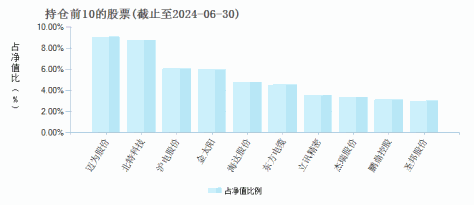 财通资管臻享成长混合C(016606)基金持仓