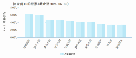 国联医药消费混合C(015033)基金持仓